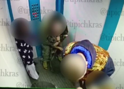 В полицию поступило заявление о нападении пса бойцовской породы на малыша в лифте краснодарской многоэтажки