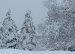 Погибло два человека, введен режим ЧС: мощная непогода обрушилась на Кубань и Адыгею 