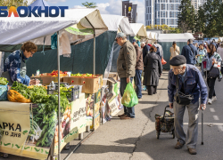 Цены на овощи в Краснодаре сравнили с другими городами Кубани 