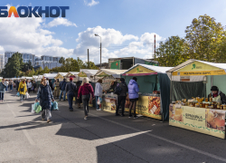 В Краснодарском крае упало производство сыра, сахара и свинины 