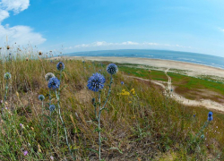В Краснодарском крае появится маршрут «Большая Кубанская тропа»