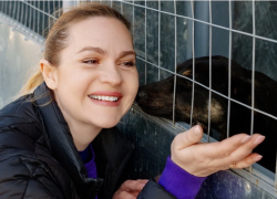 300 килограммов корма и 150 надежд: как строительная компания ССК поддерживает бездомных собак