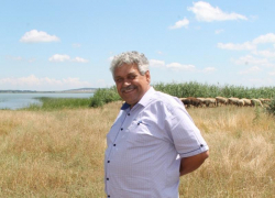 Следователи проверяют причастность депутата к расстрелу собак на Кубани