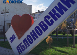 «Назовите хоть мегаполисом, суть не изменится»: политолог о решении сделать посёлок под Краснодаром городом