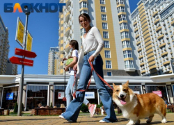 Весеннее тепло снова радует краснодарцев