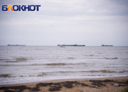 Правительство Краснодарского края объявило сервитут земель для строительства аммиачного комплекса на Тамани