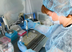  В Минздраве Кубани рассказали о состоянии пациента, заразившегося коронавирусом 