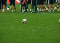 Сборная России по футболу сыграет в Сочи отборочный матч к ЧМ-2022 