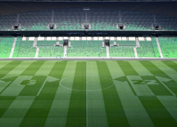 Номера Жоаозиньо и Гранквиста украсили газон ФК «Краснодар»