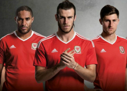 Сборная Уэльса запланировала сделать базу в Краснодаре в случае отбора на ЧМ-2018