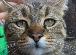 До +7 градусов рухнет температура в Краснодаре 