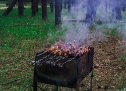  В Сочи летом запретят жарить шашлыки 