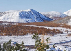 В подарок получил жизнь на Дальнем Востоке житель Краснодарского края