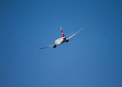 Самолет из Сочи приземлился в Москве с отказавшим двигателем 