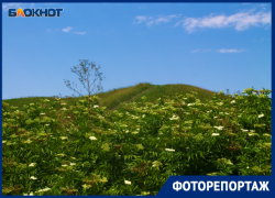 Спустя 25 веков: кто погребен в древнем Елизаветинском городище