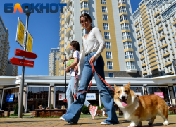 Двухдневная рабочая неделя ждёт жителей Краснодарского края