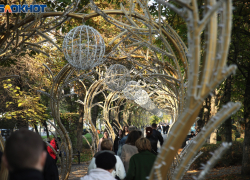 Ноябрь продолжает удивлять аномальным теплом на Кубани