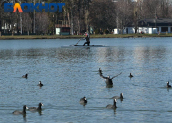 Дожди обещают краснодарцам в середине недели