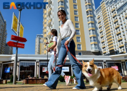 На Кубань после морозов надвигается аномальное тепло