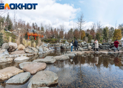 Весеннее потепление ворвётся в Краснодар на Рождество