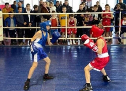 В Темрюке прошел турнир по боксу среди детей