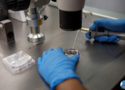 Краснодарцам все чаще требуется донор спермы