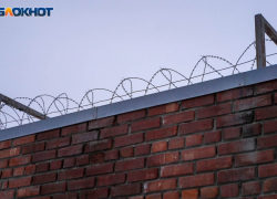 Насильник пятилетней девочки пойдет под суд в Краснодарском крае