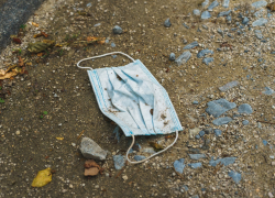 Стали известны подробности рекордного числа смертей от коронавируса на Кубани