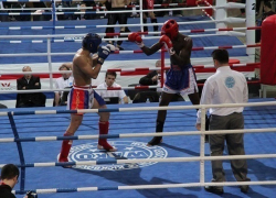 Анапа в сентябре примет Кубок мира по кикбоксингу 