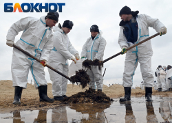 Волонтеров не хотят допускать к уборке заповедника «Утриш» в Краснодарском крае