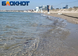 Курорты Кубани бьют рекорды по теплой погоде в декабре 