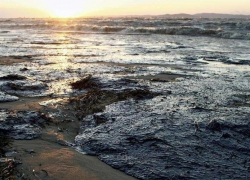 В водоеме под Анапой разлилась нефть