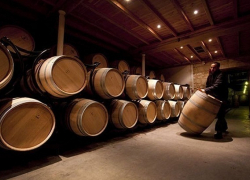 На Кубани возрос объем производства коньяков и шампанского