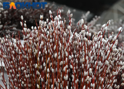 Торговля вербой стартовала на улицах Краснодара