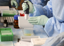 В Краснодаре привитым от коронавируса QR-код сразу не дают