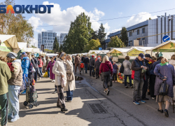 В Краснодаре заработает еще одна ярмарка выходного дня