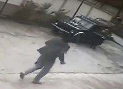 Появилось видео нападения собаки на девочку в Сочи