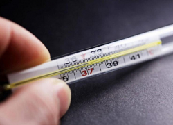 Еще 24: на Кубани продолжает расти число заболевших коронавирусом 