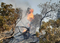 Волонтеры сообщили о двух новых лесных пожарах на Кубани