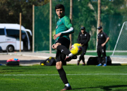  Шапи у «Краснодара» могли купить за 20 млн евро 