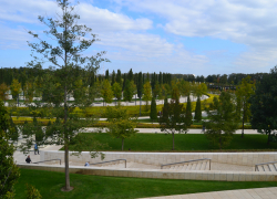 Большой фоторепортаж: как Галицкий прогулялся по своему знаменитому парку в Краснодаре 