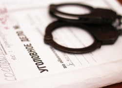 В деле Гриценко поменялась статья обвинения