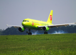 За экстренную посадку самолета в Краснодаре авиадебошир приговорен к исправительным работам