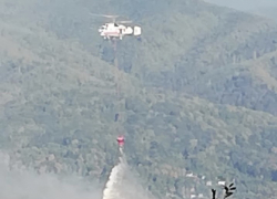 Лесные пожары произошли сразу в 4 районах Кубани