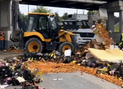 Фура с абрикосами перевернулась в Краснодарском крае