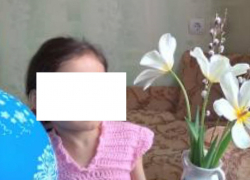 В Краснодарском крае пропавшую девятилетнюю Камиллу нашли живой