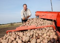 Кондратьев готов использовать на Кубани опыт советской потребкооперации 