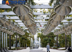 Вместо тепла в Краснодарском крае обещают заморозки 