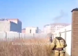 Семья жарила шашлыки: в Краснодаре празднование 8 марта привело к пожару в поселке Российском