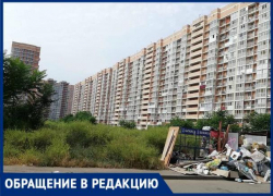 Амброзия во дворе многоэтажки мешает спокойной жизни краснодарцев 